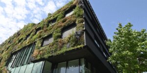 Cemex anuncia venta de activos en América Latina: un movimiento estratégico con impacto regional